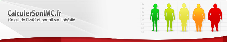Banni&egrave;re principale du site