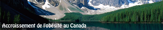 L’obésité au Canada affiche un taux record