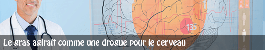 Les lipides (le gras) agiraient comme une drogue pour le cerveau