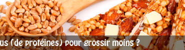 Manger plus (de protéines) pour grossir moins ?