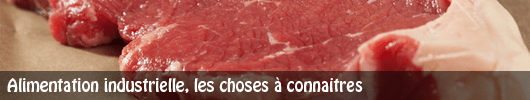 Alimentation industrielle, les choses à connaitre