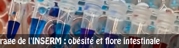Court-métrage de l’INSERM : obésité et flore intestinale