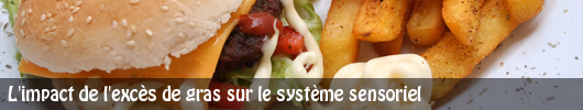 L’impact de l’excès de gras sur le système sensoriel
