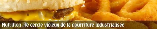 Nutrition : le cercle vicieux de la nourriture industrialisée
