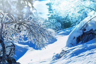 Nutrition et Hiver : les aliments à privilégier