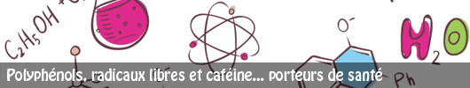 Polyphénols, radicaux libres et caféine… porteurs de santé