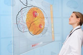 Obésité : supprimer la sensation de faim directement dans le cerveau