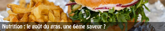 Nutrition : le goût du gras, une 6ème saveur ?
