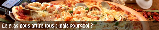 Le gras nous attire tous : mais pourquoi ?