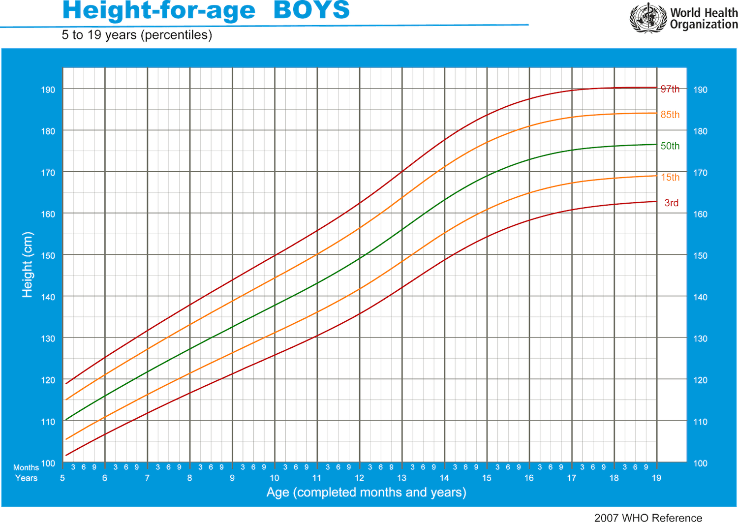 Taille idéale chez le garçon de 5 à 19 ans