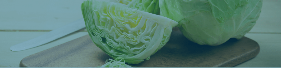 page régime soupe aux choux page régime soupe aux choux