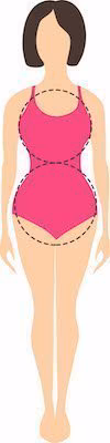 morphologie 8 morphologie 8