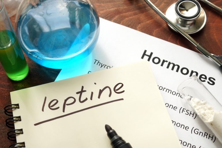 A quoi sert la leptine, l’hormone de la satiété ? leptine