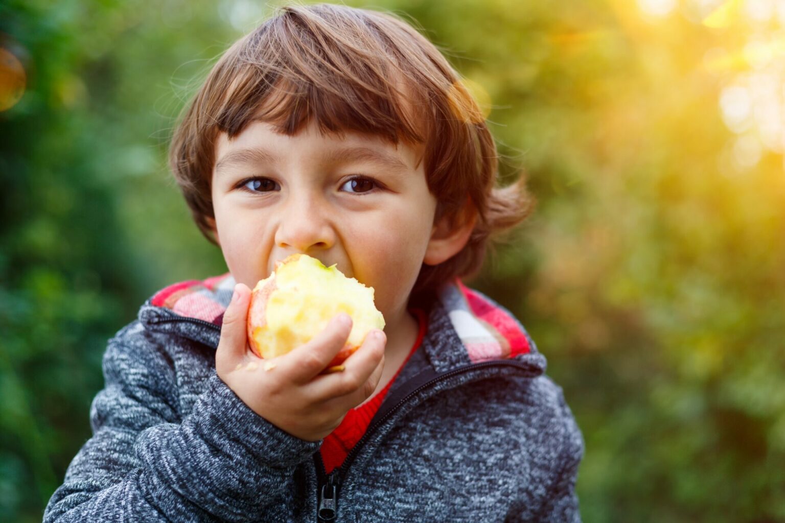 Bonnes Raisons De Manger Une Pomme Par Jour Calculersonimc