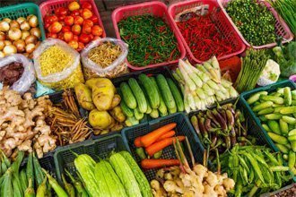 Rome : 2ème conférence internationale sur la nutrition