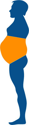 obesite liee a l'inactivite obesite liee a l'inactivite