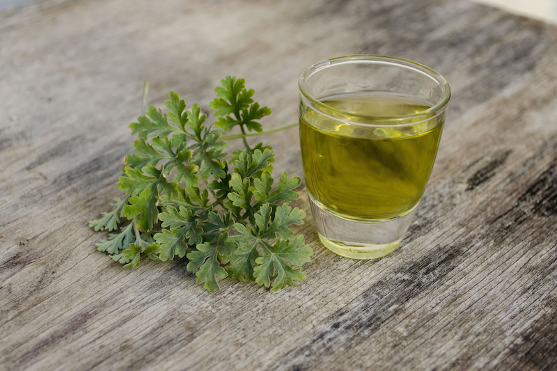L'absinthe est une plante qui peut aider à grossir