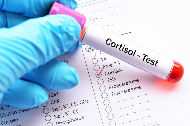 Est Ce Que La Cortisone Fait Vraiment Grossir Calculersonimc