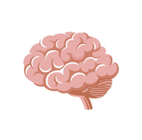 le sport stimule le cerveau