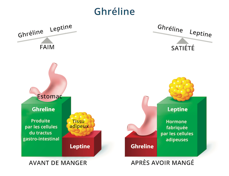 ghréline