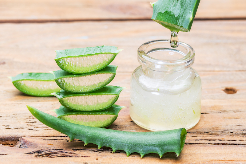 aloe vera pour maigrir