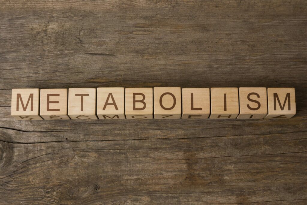 poids-effet-yoyo-métabolisme