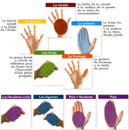 portions-alimentaires-main