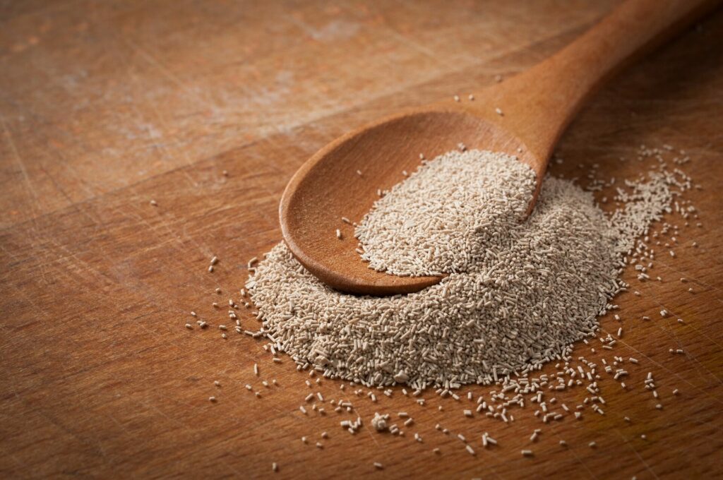 aliment-protéines-maigrir-levure