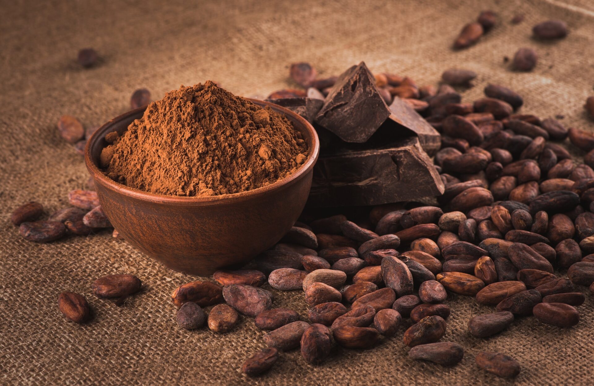 Poudre de cacao