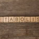 connaître-type-métabolisme