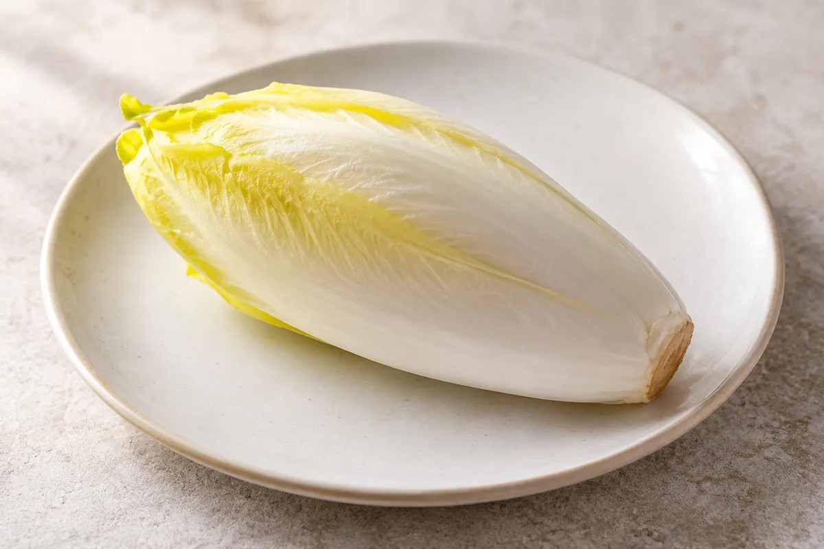 Endive sur un fond de lin clair.